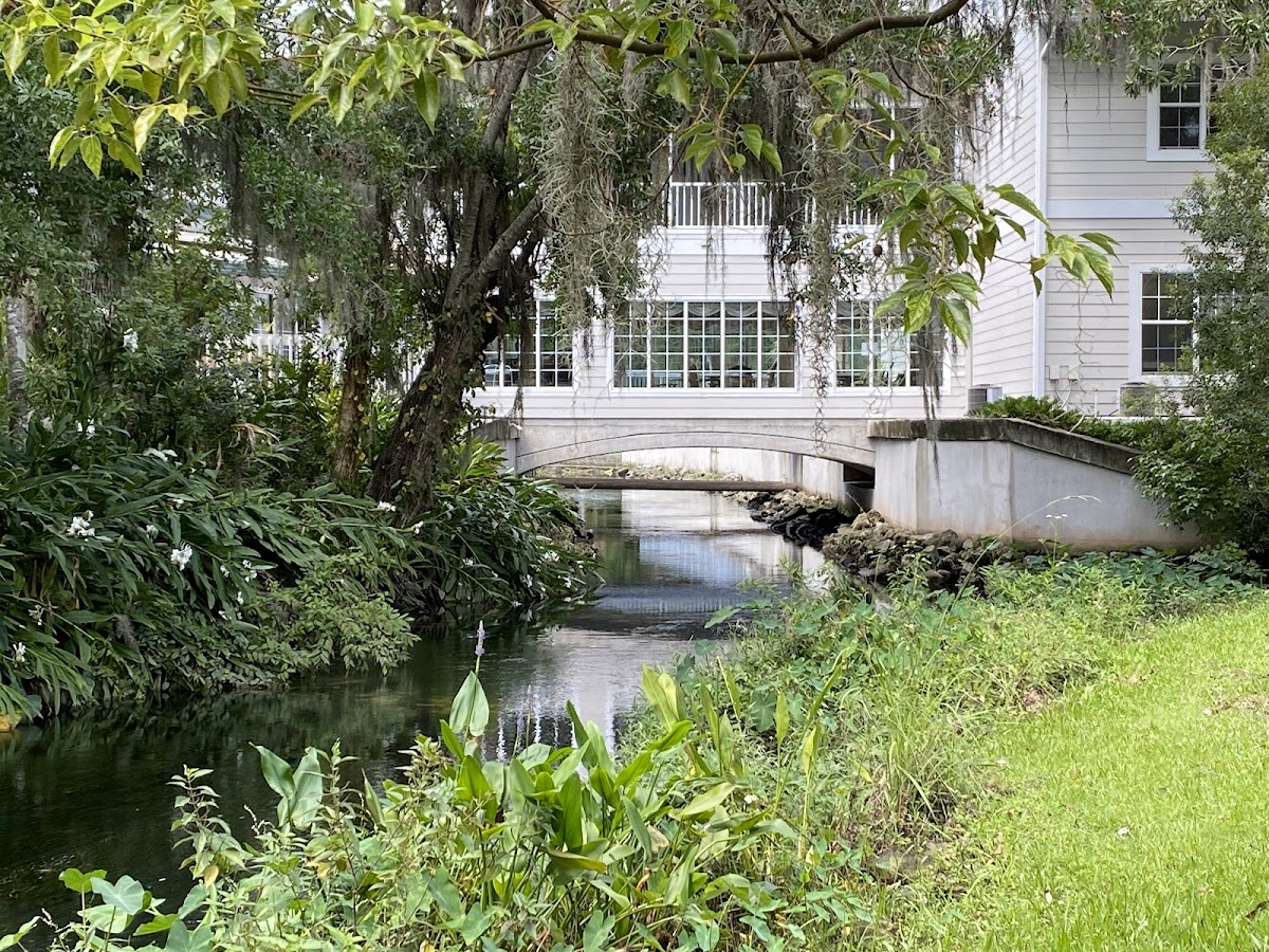 Cedar Creek
